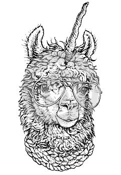 LAMA / llamacorn in eyeglasses, Hipster style drawing, isolated on white. Object for advertisement, web page design, poster, banne