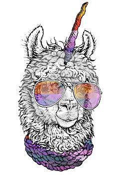 LAMA / llamacorn in eyeglasses, Hipster style drawing, isolated on white. Object for advertisement, web page design, poster, banne photo