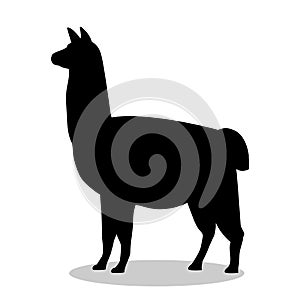 Lama mammal black silhouette animal