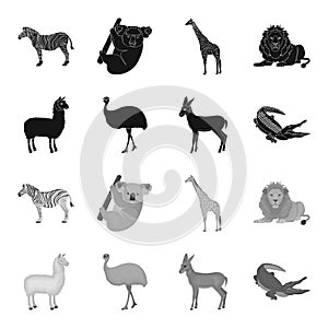 Lama, ostrich emu, young antelope, animal crocodile. Wild animal, bird, reptile set collection icons in black,monochrome