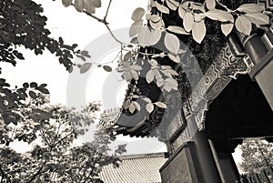 Lama Temple in Beijing, China