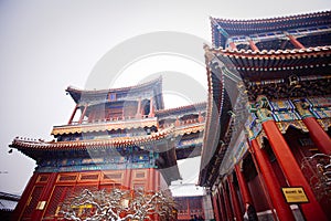 Lama Temple (Yonghegong), Beijing