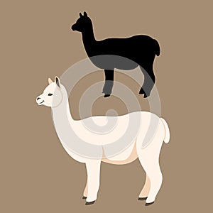 lama vector illustration style flat silhouette