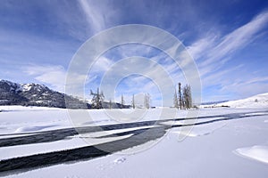 Lamar Valley in Winter photo