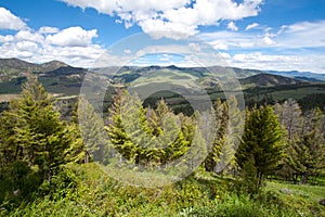 Lamar Valley in Yellowstone