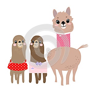 Lamas family