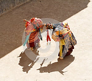 Lamayuru. Monks in masks perform buddhist sacred cham dance