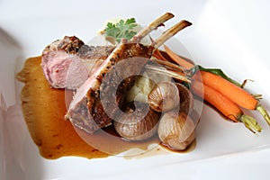 Agnello 