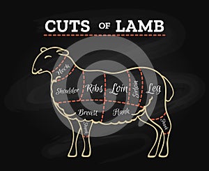 Lamb butcher chalkboard scheme