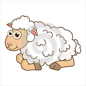 Lamb. Cartoon character young Sheep isolated on white background. Template of cute farm animal. Education card for kids