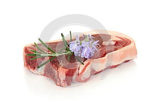 Lamb Chop with Rosemary Herb