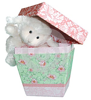 Lamb Climbing Into the Box - Prepositional Phrases