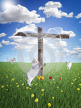Lamb and cross  for easter.