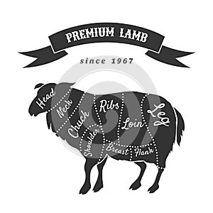 Lamb cuts for butcher shop poster