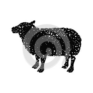 Lamb livestock animal design