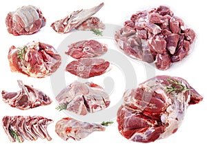 Lamb meat