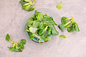 LambÂ´s lettuce on a brown textured background