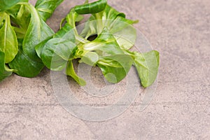 LambÂ´s lettuce on a brown textured background