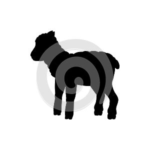 Lamb sheep farm mammal black silhouette animal