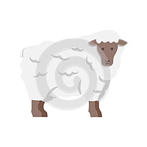 Lamb, sheep icon. Vector illustration