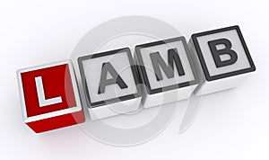 lamb word block on white
