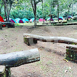 Lambang bandung camping a nice place on midle forest