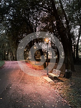 A Lambro Park street in Milan in autumn