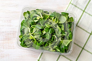 Lambs lettuce leaves in a plastic food container on a wooden table. Corn salad or mache for vitamin vegetable salad recipe. Low