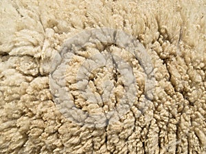 Lambswool texture