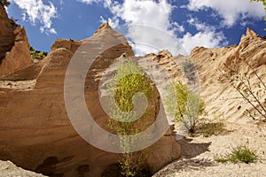 Lame Rosse