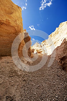 Lame Rosse