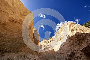 Lame Rosse