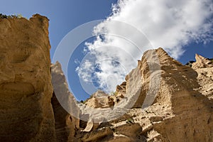 Lame Rosse