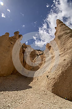 Lame Rosse