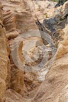 Lame Rosse