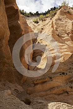 Lame Rosse