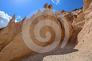 Lame Rosse photo