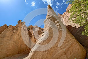 Lame Rosse photo