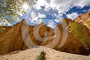 Lame Rosse photo