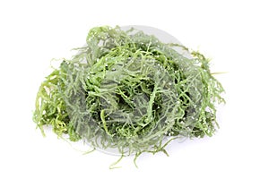 Laminaria (Kelp) Seaweed