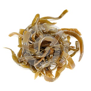 Laminaria (Kelp) Seaweed on White Background