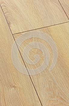 Laminate texture, laminate sample palette. Top view of veneer samples of wood series consists of oak, douglasia, ash, walnut