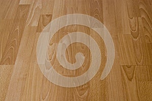 Laminated Floor Boards