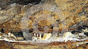 Laminated Limestone Rocks Formations At Cape