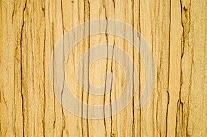 Laminated parquet board closeup