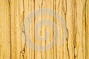 Laminated parquet board closeup