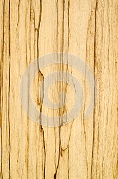 Laminated parquet board closeup