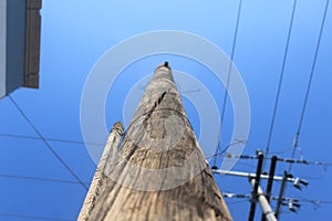 Lammpost with a blue and cold sky