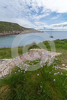 Lamorna cove cornwall england uk photo