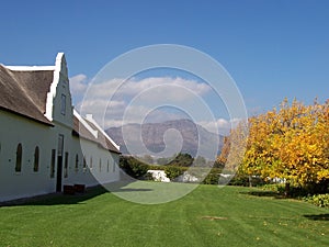 lamotte vineyards Cape S.Afric
